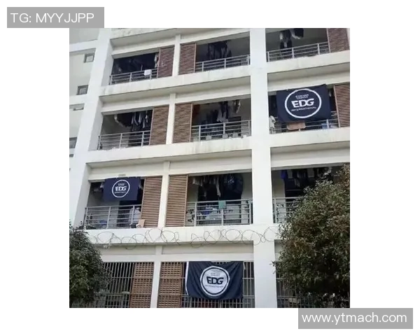 esports最新数据电竞实时数据分析EDG战队CSGO边路渗透战术体系研究 esports最新数据电竞实时数据分析EDG战队CSGO边路渗透战术体系研究